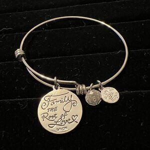 Family the Root of Love Silver Tone Charm Bracelet from Love this Life